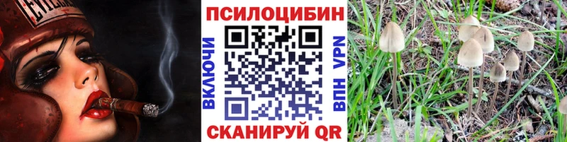 Псилоцибиновые грибы MAGIC MUSHROOMS  Новокубанск 